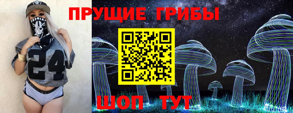 Новороссийск  Галлюциногенные грибы MAGIC MUSHROOMS  Вход с VPN 