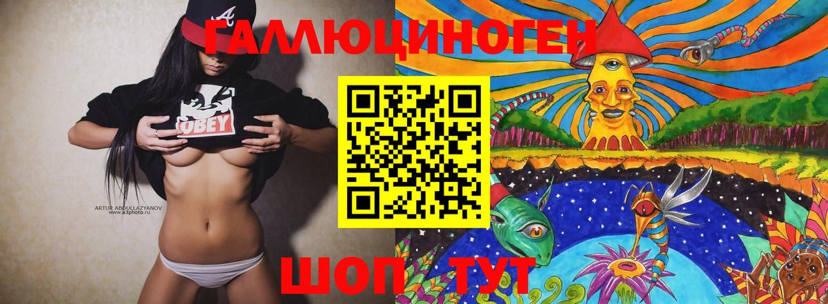 Псилоцибиновые грибы Psilocybe Новороссийск