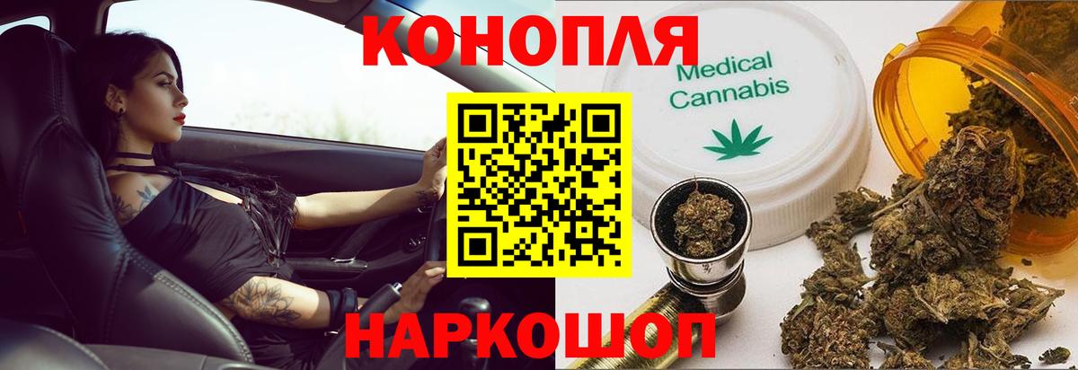 Конопля план Новороссийск